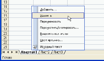 Excel     
